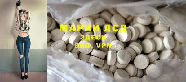 спиды Каменногорск