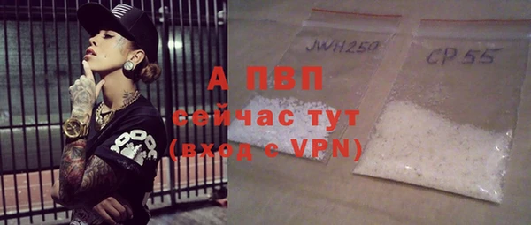 спиды Каменногорск