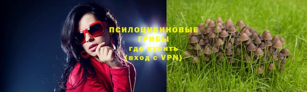 спиды Каменногорск