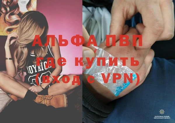 спиды Каменск-Шахтинский