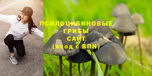 спиды Каменск-Шахтинский