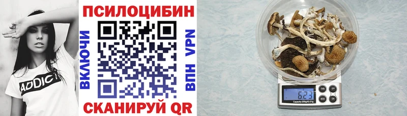 Купить закладки Котельники Галлюциногенные грибы Cubensis