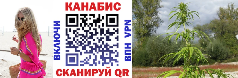 Конопля MAZAR Купить где Котельники